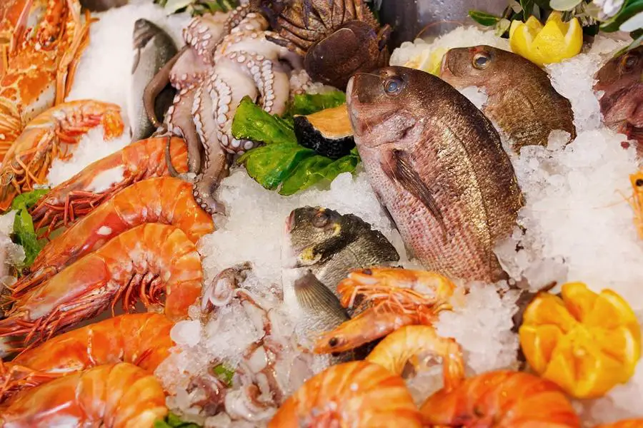 Meeresfrüchte - Köstliche Küche