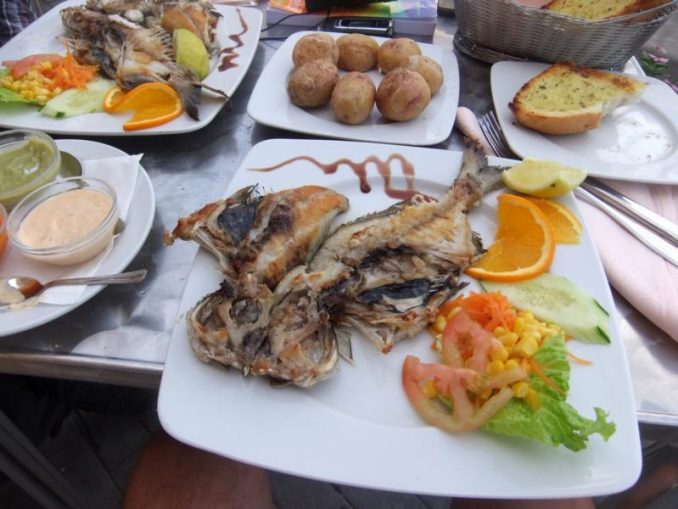 Fisch - Speisefische