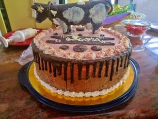 Torte - Kuh