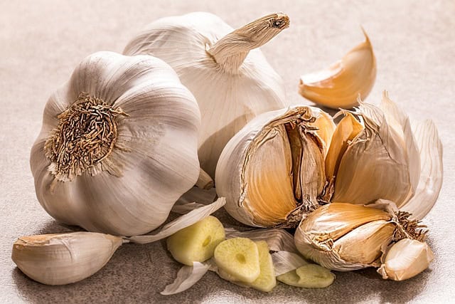 Heilpflanze - Knoblauch